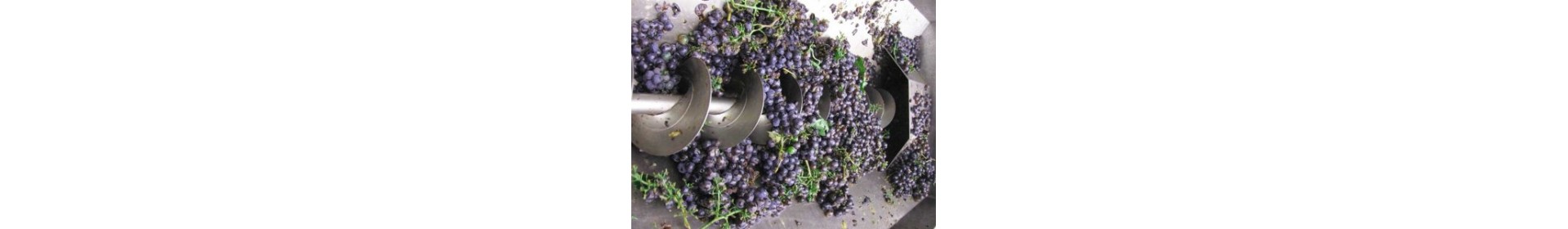 Agricoltura