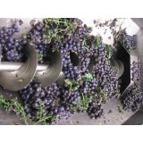 Agricoltura